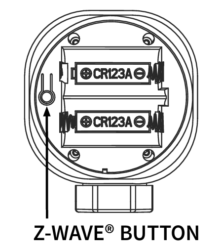 image-20250819-052347.png